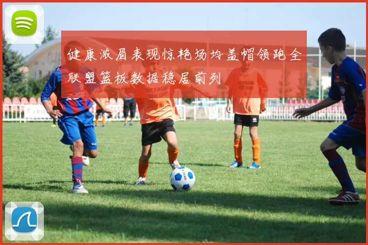 健康浓眉表现惊艳场均盖帽领跑全联盟篮板数据稳居前列