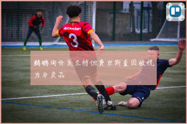 鹈鹕询价莫兰特但费尔斯奎因被视为非卖品