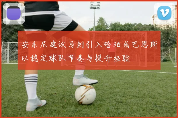 安东尼建议马刺引入哈珀或巴恩斯以稳定球队节奏与提升经验