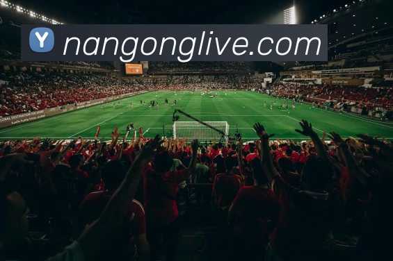 多媒体互动体验